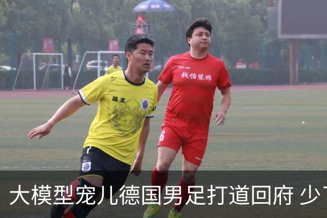 大模型宠儿德国男足打道回府 少了人性观察数据等于废纸