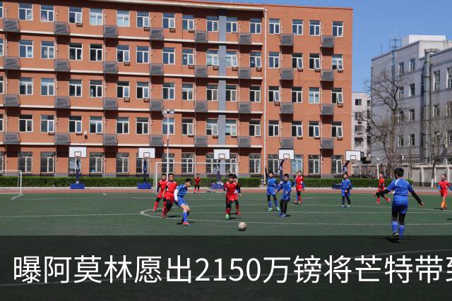 曝阿莫林愿出2150万镑将芒特带到米兰 曼联今夏无意出售